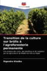 Image for Transition de la culture sur brulis a l&#39;agroforesterie permanente
