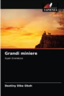Image for Grandi miniere