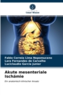 Image for Akute mesenteriale Ischamie
