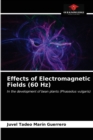 Image for Effects of Electromagnetic Fields (60 Hz)