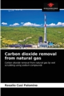 Image for Carbon dioxide removal from natural gas