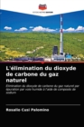 Image for L&#39;elimination du dioxyde de carbone du gaz naturel