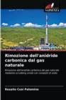 Image for Rimozione dell&#39;anidride carbonica dal gas naturale