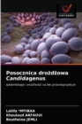 Image for Posocznica drozdzowa Candidagenus