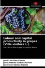 Image for Labour and capital productivity in grapes (Vitis vinifera L.)