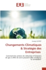 Image for Changements Climatiques &amp; Strategie des Entreprises