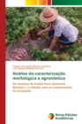 Image for Analise da caracterizacao morfologica e agronomica