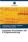 Image for Computer-Praxislabor mit C-Programmierung