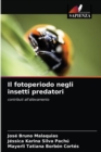 Image for Il fotoperiodo negli insetti predatori