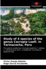 Image for Study of 4 species of the genus Cecropia Loefl. in Yarinacocha, Peru