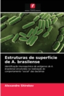 Image for Estruturas de superficie de A. brasilense