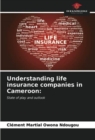 Image for Understanding life insurance companies in Cameroon