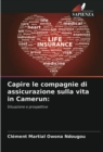 Image for Capire le compagnie di assicurazione sulla vita in Camerun
