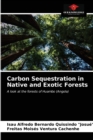 Image for Carbon Sequestration in Native and Exotic Forests