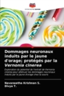 Image for Dommages neuronaux induits par le jaune d&#39;orage; proteges par la Vernonia cinerea