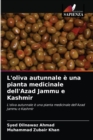 Image for L&#39;oliva autunnale e una pianta medicinale dell&#39;Azad Jammu e Kashmir
