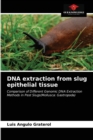 Image for DNA extraction from slug epithelial tissue