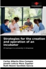 Image for Strategies for the creation and operation of an incubator