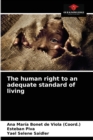 Image for The human right to an adequate standard of living