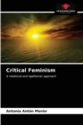 Image for Critical Feminism