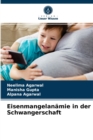 Image for Eisenmangelanamie in der Schwangerschaft