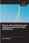 Image for Morus alba Sadzonki pod wplywem pokrycia folia plastikowa