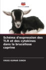 Image for Schema d&#39;expression des TLR et des cytokines dans la brucellose caprine