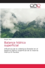 Image for Balance hidrico superficial