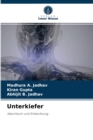 Image for Unterkiefer