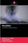 Image for Mandible