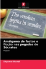 Image for Amalgama de factos e ficcao nas pegadas de Socrates