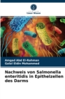 Image for Nachweis von Salmonella enteritidis in Epithelzellen des Darms