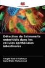 Image for Detection de Salmonella enteritidis dans les cellules epitheliales intestinales