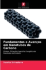 Image for Fundamentos e Avancos em Nanotubos de Carbono