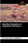 Image for Identity formation in migration literature