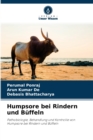 Image for Humpsore bei Rindern und Buffeln