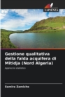 Image for Gestione qualitativa della falda acquifera di Mitidja (Nord Algeria)