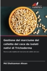 Image for Gestione del marciume del colletto del cece da isolati nativi di Trichoderma