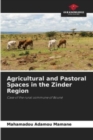Image for Agricultural and Pastoral Spaces in the Zinder Region