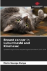 Image for Breast cancer in Lubumbashi and Kinshasa