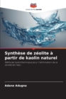 Image for Synthese de zeolite a partir de kaolin naturel