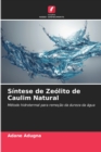 Image for Sintese de Zeolito de Caulim Natural