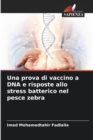 Image for Una prova di vaccino a DNA e risposte allo stress batterico nel pesce zebra