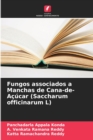 Image for Fungos associados a Manchas de Cana-de-Acucar (Saccharum officinarum L)