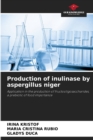 Image for Production of inulinase by aspergillus niger