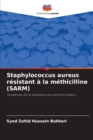Image for Staphylococcus aureus resistant a la methicilline (SARM)