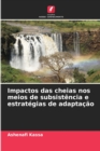 Image for Impactos das cheias nos meios de subsistencia e estrategias de adaptacao