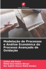 Image for Modelacao de Processos e Analise Economica do Processo Avancado de Oxidacao