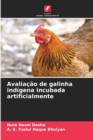 Image for Avaliacao de galinha indigena incubada artificialmente