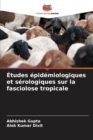 Image for Etudes epidemiologiques et serologiques sur la fasciolose tropicale